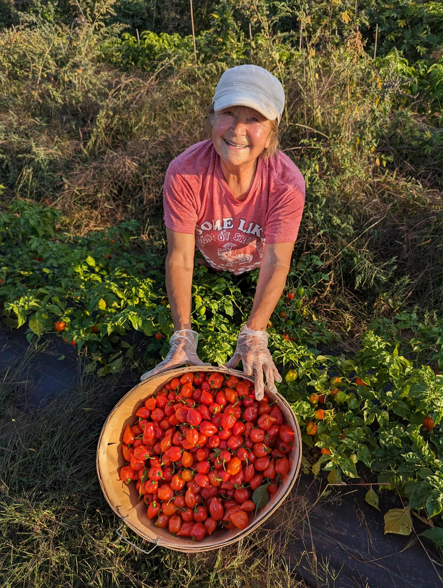 Blazing Vine Pepper Co. founder with a fresh harvest of peppers